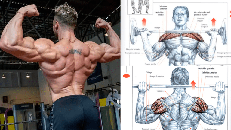 PECHO Y ESPALDA Rutina completa 7 ejercicios crece tus músculos