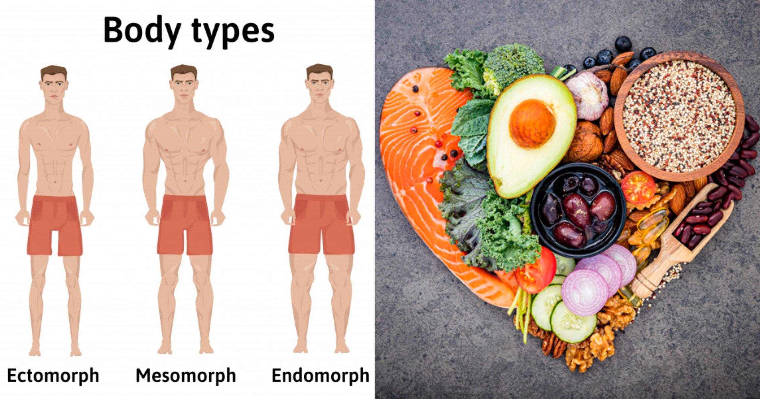 Alimentación para ganar músculo en ectomorfos — Adictos al Gym