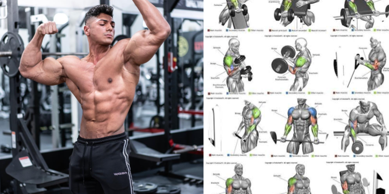 Rutina biceps y triceps con online mancuernas