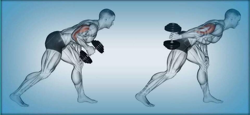 Rutina de bíceps y tríceps — Adictos al Gym